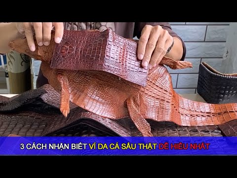 6 loại ví da cá sấu và cách nhận biết ví da cá sấu thật
