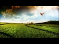 Видео The Very Best Of Trance (Part 53) Uplifting Trance Music !