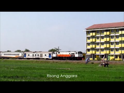 cutting-edge developments in interior paint colorings for cabins