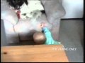 World S Funniest S Full Episode