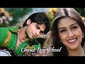 Chand Tare Phool - Lofi Mix | Sonu Nigam | Tumse Achcha Kaun Hai | Hindi Romantic Song