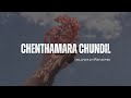 Chenthamara Chundil | (Slowed+Reverb) | "Style"