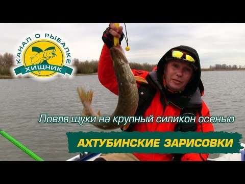 уроки ловли щуки для начинающих уроки ловли щуки для начинающих