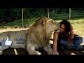 जब इंसानों ने बचाई जानवरों की जान | 7 Greatest Animal Rescues By Humans