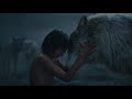जब इंसानों ने बचाई जानवरों की जान | 7 Greatest Animal Rescues By Humans