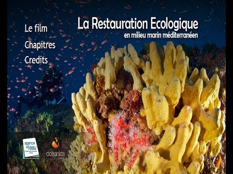 La restauration écologique en milieu marin méditerranéen - Agence de l'eau RMC