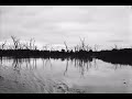 Billy Holliday - Gloomy Sunday
