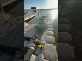 Невероятный трюк девушки, когда гидроцикл уплыл на середину озера! #shorts
