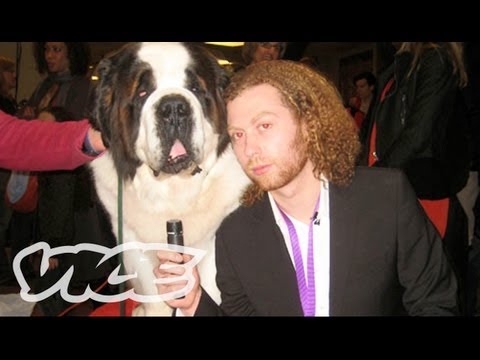 westminster-dog-show-on-acid.html