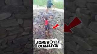 Tilki Yavrusu Için Hayatını Hiçe Sayan Çocuk