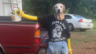You Laugh You You Restart Part 45