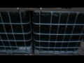 DIY 1,100 Gallon Rainwater Harvesting & Collection System