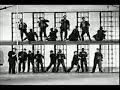Elvis