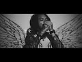 Bird People With Wings Video preview