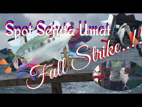 mancing ikan di laut|| pulau bintan|| kepulauan riau