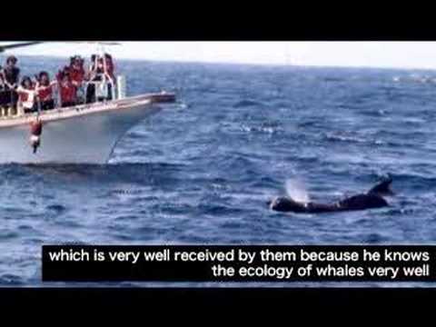 whale hunting statistics. Whale-Love Wagon 06 - Meeting