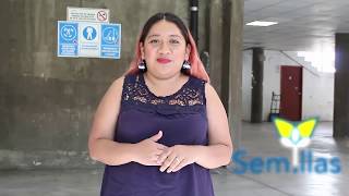 Testimonios de voluntarios del Festival Semillas 2019