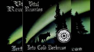 Watch Vital Remains Into Cold Darkness video