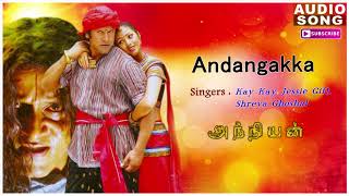 Andangkaka Kondakari -  Song | Anniyan | Vikram | Shankar | Harris Jayaraj | Ayn