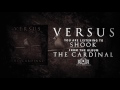 Shook Video preview