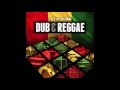 Dub & Reggae (for Maschine, Ableton & Logic Pro)