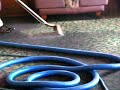 Carpet Cleaning Miami | We Specialize in wall to wall Carpet Cleaning Call (305)975-8345