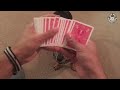 Smarty Dogs | Funny Dog Video Compilation 2017