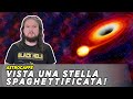 Vista una stella spaghettificata!