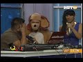Queremos Mas El Perro Guarumo Contra Zabalito images Queremos Mas El Perro Guarumo Contra Zabalito