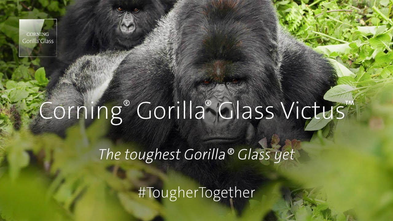 Gorilla Glass Victus 