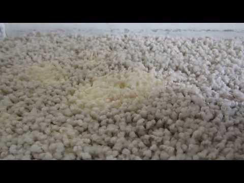 Carpet Bleach Stain Correction With Carpet Dyeing