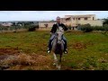 Un giretto a cavallo il giorno di pasquetta 01/04/2013
