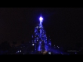 dlrpmagicvideo
