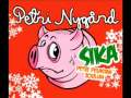 Petri Nygård - Sika
