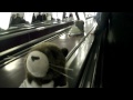 Видео Riding the Escalator from the Kiev Metro