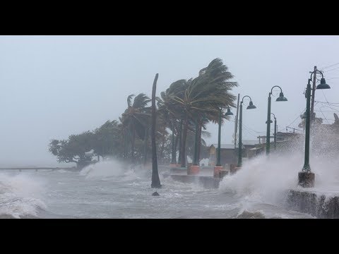 La tormenta Beryl se convierte en huracán beryl tiene la misma trayectoria del huracan maria.