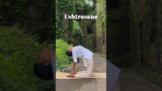 Yoga For High Blood Pressure Hypertension Abhyas School Of Yoga