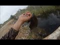cichlid