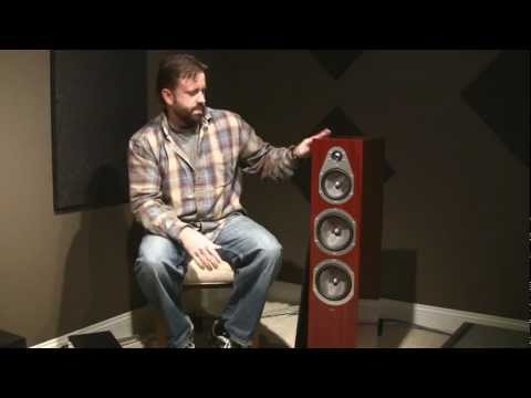 Michael guy mg forex