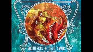 Watch Dead Swans Swallow video