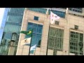 Flag Runners: Chicago A City Of Many Flags
