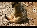 فيلم سكس كامل الحق قبل الحذف - افلام سكس - افلام اغراء - شرموطات2014