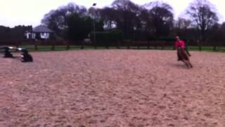 Taylor Jumping Tango At Home