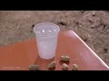 Shaolin Soccer 3 12 Movie Steel Leg Trains 2001 Hd