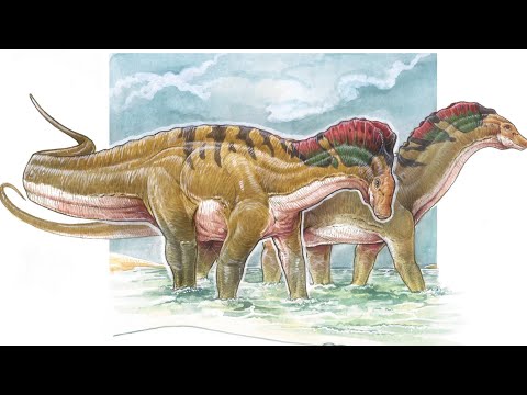 Formación la Amarga Formación la Amarga