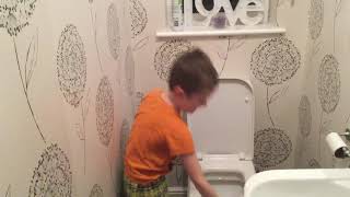 Watch Parry Gripp Cat Flushing The Toilet video