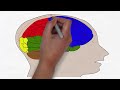 Your Brain on Stress and Anxiety