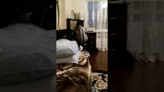Okvideo2595868535873