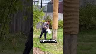 Dont Try This To Escape A Wild Animal