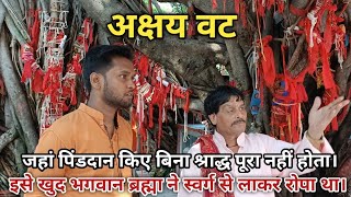Akshay Vat अकषय वट Pitru Paksha Mela 2023 A Pinddaan A A Pind Daan